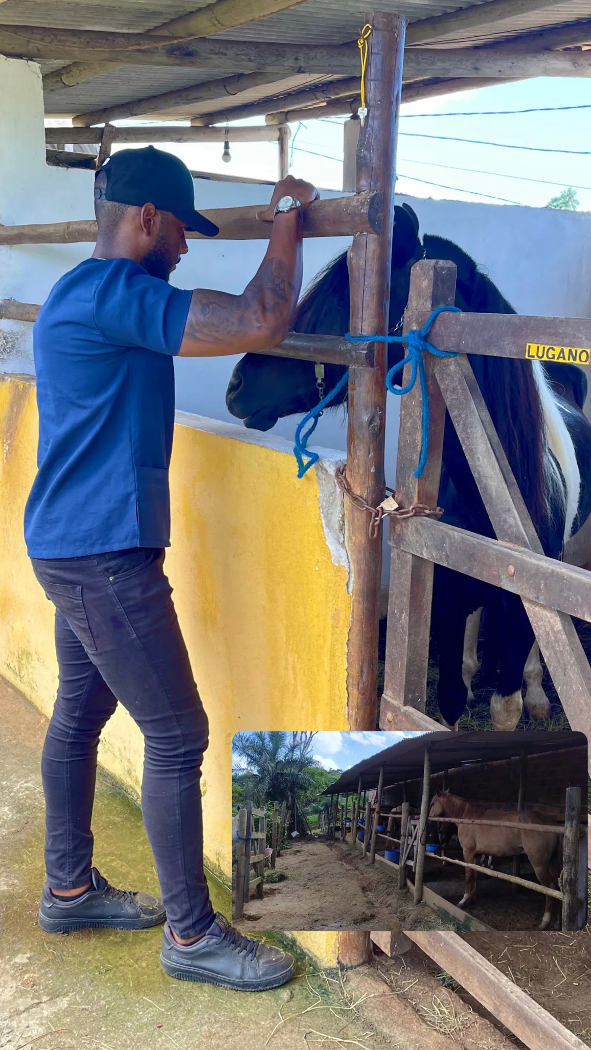 Paulo Simon em projeto de extensão de Medicina Veterinária